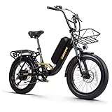 CEAYA Elektrofahrrad 20 Zoll Pedelec Aluminium Ebike Herren Damen Fat E Bike Elektro City Fahrräder mit Akku 15Ah, 3.0' Fat Tires,Gabelfederung,LED-Lichter,7 Gang