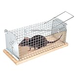BESTIF Rattenfalle Lebendfalle für Ratten & Mäuse – Robuste Mausefalle lebend zur effektiven Schädlingsbekämpfung | Tierfreundlich & Wiederverwendbar 30x12x12cm