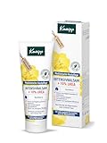 Kneipp Intensivbalsam Nachtkerze, hochwertige medizinische Hautpflege, mit 10 Prozent Urea, 75ml (1er Pack)
