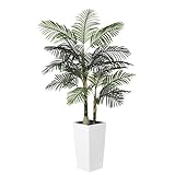 Realead Künstliche goldene Rohrpalme, hohe Kunstpalmen für den Innenbereich, mit weißem großem Pflanzgefäß, künstliche Palme mit realistischen Palmenblättern, 2 m