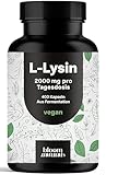 L-Lysin hochdosiert - 400 Kapseln mit 2000mg pures L Lysin pro Tagesportion. Aus pflanzlicher Fermentation - Kapseln - Vegan und produziert in Deutschland - Verpackung kann variieren Laborgeprüft