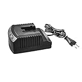 IKRA 40 V Akku Ladegerät Ladestation mit LED Anzeige ONE FOR ALL