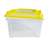 Insekten-Beobachtungsbox | Naturbeobachtung für Kinder