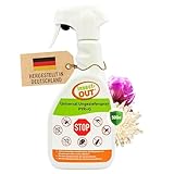 Universal Ungezieferspray PYR+G - Insect-OUT - 500 ml - Insektenspray - Silberfische & Teppichkäpfer bekämpfen - wirkt auch als Wespenspray, Spinnenspray, Ameisenspray, Fliegenspray & Mottenspray