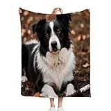 ZZXHG Kuscheldecke 200 x 220 Schwarzer Border Collie, Flauschige Plüsch Decke Tagesdecke für Kind Erwachsene, Pflegeleicht Flanell Fleecedecke TV-Decken Sofadecke Wohndecke Mikrofaser Couchdecke_h118