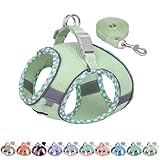 AIITLE Hundegeschirr und Leine Set, No Pull Schritt in Welpengeschirr mit Super atmungsaktivem Mesh, reflektierende Welpen Essentials für die Ausbildung für kleine Hunde, Katzen Salbei XS