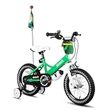 STITCH Little Rock 14 Zoll Kinderfahrrad für 3-5 Jahre Kinder Fahrrad, Jungen Fahrrad mit Stützrädern mit Korb & Bike Streamers,Grün