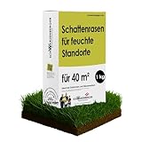 Samen Schwarzenberger I Schattenrasen für feuchte Standorte I 1 kg für 40 m² I strapazierfähig & stresstolerant I hohe Toleranz gegenüber Bodenfeuchte