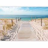 murando - Vlies Fototapete Strandweg 250x175 cm - Foto Tapete Schlafzimmer Wohnzimmer Moderne Vliestapete XXL Wandtapete Motivtapeten Bildtapete 3d Effekt Wand Dekoration - Meer Strand c-A-0054-a-b