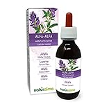 Alfalfa oder Luzerne (Medicago sativa) Kraut mit Blüten Alkoholfreier Urtinktur Naturalma - Reich an natürlichem Chlorophyll - Flüssig-Extrakt Tropfen 120 ml - Nahrungsergänzungsmittel - Veganer