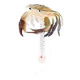 Gatuida Schwimmbadthermometer Pool Requisite Wasserthermometer Sommer Thermometer Schwimmendes Poolthermometer Sommer Poolthermometer Schwimmendes Thermometer Für Pool