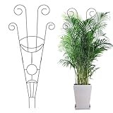 Pflanzgitter Set,Kletterpflanzen Rankhilfe Garten Rankgitter Metall Stützen für Pflanzenhalter Zimmerpflanzen,Balkon Pflanzenstütze Pflanzengitter,Blumenstütze Gitterspalier Topfpflanzen (04)