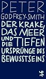 Der Krake, das Meer und die tiefen Ursprünge des Bewusstseins (MSB Paperback)