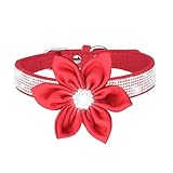 Katzen HalsbäNder Haustierhalsband, glänzendes Strass-Hundehalsband, kleine mittelgroße Hundeleine, Mikrofaser-Katzenhalsband Leuchthalsband Hund (L, E)