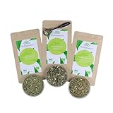 Mate Power Bundle - Hochwertiges Bio-Tee-Geschenkset - 3x 100g loser Bio-Tee mit Teemaßlöffel