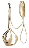 Kerbl 81086 Welpengeschirr mit Leine, beige, 24-44 cm/10 mm