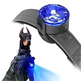 UMIONE PET LIGHT: Wasserdichtes Hundelicht, langlebig und ideal für Nachtspaziergänge (1)