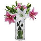 Olrla 6 Stück Weiße und Rosa Lilie künstliche Blumenarrangement, Latex Lilie Kunstblumen fur Blumenstrauß Hochzeit, Graves, Tischdekoration