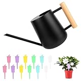 1L Gießkanne Zimmerpflanzen, Edelstahl Schwarz Gießkanne, kleinere Topfpflanzen Edelstahl, Giesskanne mit Langem Auslauf,Kleine Blumen Giesskanne Topfpflanzen für Wohnung Büro Sukkulenten Innen