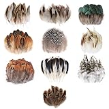 MWOOT 300 Stück Federn zum Basteln, 10 Stile Natürliche Gemischte Deko Bastelfedern für DIY Traumfänger Ohrringe Hüte Maske Ostern Karneval Halloween Deko