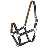 Brama West Pferderhalfter Ruby - 2 Fach verstellbar - mit Leder - Weidehalfter - Orange - Gr. Cob