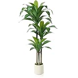 Kazeila Künstlicher Drachenbaum 150cm Artificial Kunstpflanzen groß, Plastik Künstliche Pflanzen,Tropische Dracaena Fragans Pflanze mit Töpfen für Wohnzimmer Büro Garten Dekoration(1Pack)
