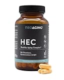 ΠΕOΔGING Healthy Aging Complex - Supplement mit Zink hilft die Zellen zu schützen - Multivitamin Präparat trägt zu normalerkognitiver Funktion und Sehkraft bei - Vorratspack mit 120 Kapseln
