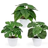 YAOYIN® 3er Set Kunstpflanze, Künstliche Pflanzen Wie Echt mit Töpfen, Kunstpflanzen Wie Echt Zimmerpflanze Deko Pflanzen, Fake Plants Höhe ca.19 cm, Für Balkon, Zimmer, Wohnzimmer, Badezimmer Deko