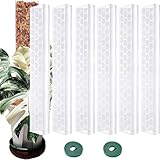 Moosentferner Monstera - Moosentferner für Monstera - 17 Zoll stapelbare Moospfosten für Kletterpflanzen | Rankhilfe für Zimmerpflanzen, transparente Moospfähle