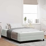 Rantry Boxspringbett mit Matratze Hellgrau 120 x 200 cm Samt Betten und Zubehör Model3398683