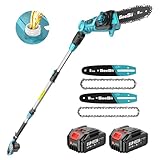 SEESII 8&10 Zoll Hochentaster mit 2 * 4000mAh Akku, Teleskop Kettensäge mit Verlängerungsstange und Gurt, Arbeitshöhe bis zu 4,57 m, Automatischem Öler, Ideal für Garten und Astschnitt