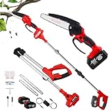 2-in-1 Akku Hochentaster & 8 Zoll Mini Kettensäge, Elektrisch 21V Teleskop Astsäge Astschere mit 2 x 3000mAh, Motorkopf 150° Schwenkbar, für Gartenscheren Astschere Holzschneidenz