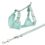 TRIXIE 15565 Junior Welpen-Softgeschirr mit Leine, S–M: 26–34 cm/10 mm, 2,00 m, Mint