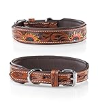 Jack & Russell Hundehalsband aus Leder, Hand-geschnitzt und gepolstert – Halsband aus Büffelleder, Hunde Lederhalsband Soleil (XL (46,0-58,0cm)