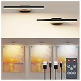 Deyagoo Bilderleuchte Kabellos, 2 Stück LED Wandleuchte Innen mit Fernbedienung, 6000mAh Akku Bildbeleuchtung mit Timer, Dart Beleuchtung, 3 Farbmodi Dimmbare Wandlampe für Malen Foto Art, Schwarz