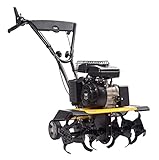 TEXAS 90061154 Lilli 365 TG Motorhacke Gartenfräse (Benzinantrieb, 40 - 60 cm Arbeitsbreite 26 cm Arbeitstiefe, 1400 W, Rückwärtsgang, Seilzugstarter)