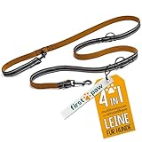 FIRSTPAW Hundeleine 2m für kleine mittelgroße und große Hunde - Verstellbar Umhängeleine Hund 1.1m / 1.3m / 1.5m / 2m - Multifunktionelle Führleine - Doppelleine für Hunde mit 2 Karabiner