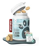 Vitamin B Komplex Hund & Katze [MADE IN GERMANY, ZUCKERFREI & LABORGEPRÜFT] Alle 8 B Vitamine für Hunde B1, B2, B3, B5, B6, B9, B12, K3 unterstützt Nerven, Energie, Fell & Immunsystem (60g (1er Pack))