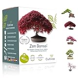 Bonsai Starter Kit – Set Bonsai Anzuchtset 5 verschiedene Bonsaï-Samen – Wachstumsanleitung enthalten - Züchten Sie Ihren wunderschönen Bonsai – Geschenkidee für Männer und Frauen - CULTIVEA®