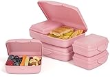 Hausfelder Brotdosen Set flach – Brotdose Schule und Büro mit Fächern (RosePink, 6er Set)