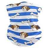 Blau-weiß gestreifte Hundeknochen für heißes / kaltes Wetter, staub- und schmutzdicht, Kopf- und Halstuch, dehnbare Beanie, wiederverwendbare Gesichtsmasken für Erwachsene, für Motorrad, Halloween, Pa