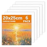 Leinwand zum Bemalen, 9 Stk 100% Reines Baumwolle Leinwände zum Malen, Vorgespannte Weiße Künstler Leinwand Set, 20x25cm Kleine Keilrahmen Malkarton für Acryl ölfarben