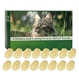 Cat Grass Stick, Edible Chew Toy, Pet Supplies, Teething Toy, Natural Oral Care, Individually Packaged, 16X Menge, Ideal for Kitten and Daily Use, 8.27 x 5.71 x 5.12 inches