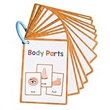 Maodom Körperteile-Taschenkarte, Körperteile-Lernkartei,15-teilige englische Karteikarte Körperteile Taschenkarte | Vokabel-Wörter-Flashcard, pädagogisches Lern-Flashcard für Kleinkinder