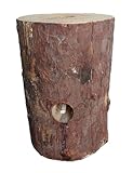 Woodson Schwedenfeuer 5 Stück Finnenfackel Baumfackeln Lagerfeuer optional mit Zitrusduft und Naturanzünder (Original)