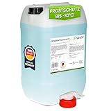 Flotex® Scheibenfrostschutz Konzentrat 20L – Hocheffektiver Scheibenwasser Frostschutz bis -30°C – Absolut rein & schlierenfrei - Sofort mischbereit – Angenehmer Citrusduft