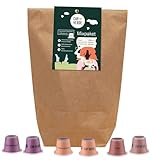 CUP VERDE – 100 Kaffeekapseln MIXPAKET Nespresso* kompatibel 3 Sorten - CREMA - LUNGO - ESPRESSO/Heim Kompostierbar – Premium Kaffee - schonend geröstet