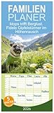 Familienplaner 2026 - Mops trifft Berglust. Fidele Gipfelstürmer im Höhenrausch mit 5 Spalten (Wandkalender, 21 cm x 45 cm), CALVENDO: Herrlich ... bei der Mopswanderung (CALVENDO Tiere)