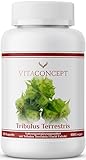 Vitaconcept I Tribulus Terrestris | 1000 mg pro Kapsel | 120 Kapseln | Das Orginal aus Erdburzeldorn | laborgeprüft | für Männer und Frauen | hochdosiert | Vegan