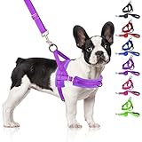 SlowTon Hundegeschirr mit Leine, No Pull Hundegeschirr für kleine Hunde,Front Lead Walk Vest Harness Weich gepolstertes, reflektierendes, verstellbares Welpengeschirr Anti-Twist Hundegeschirr
